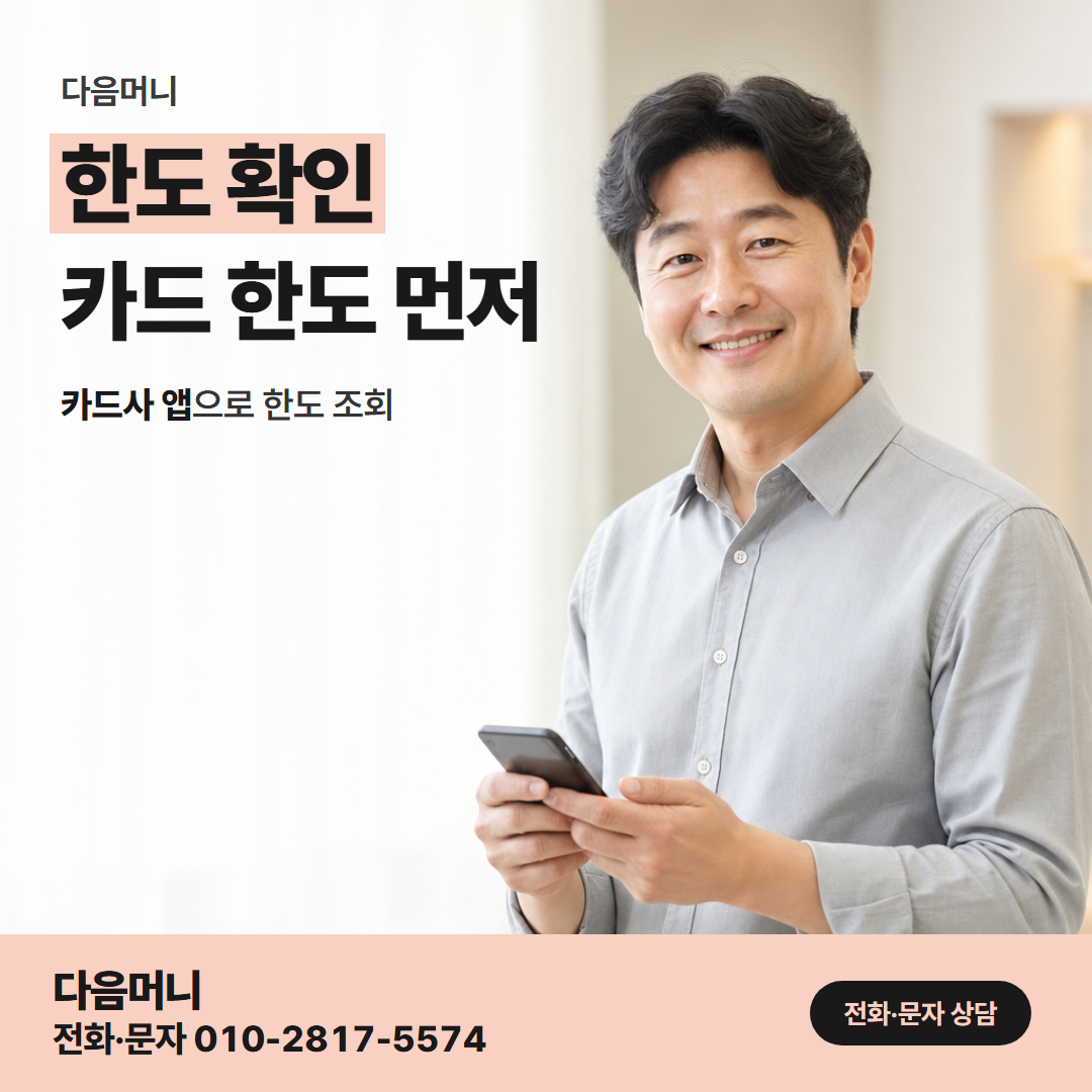 다음머니 울산카드깡 카드별로 조회하는 남은 한도